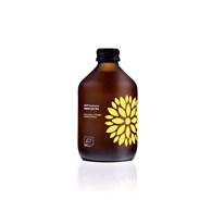 VIGO Kombucha BIO Kurkuma+Imbir 330ml