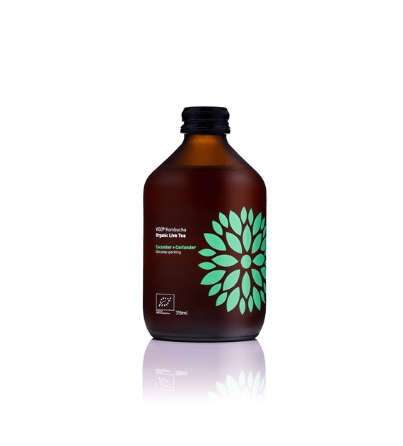 VIGO Kombucha BIO Ogórek+Kolendra 330ml