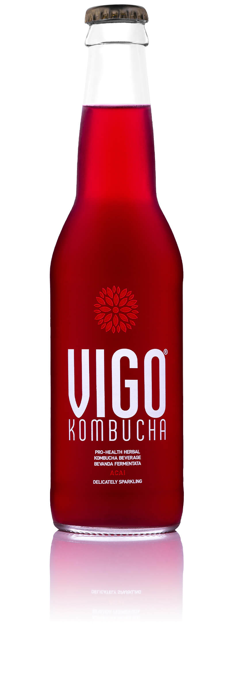 VIGO Kombucha Jagody Acai 330ml