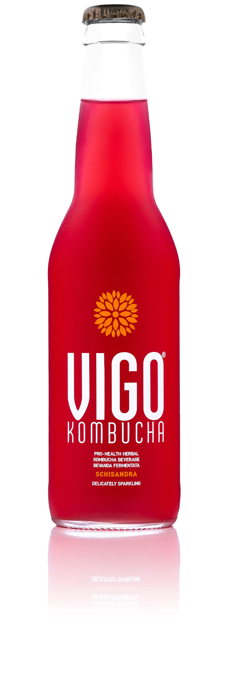 VIGO Kombucha Schisandra 330ml