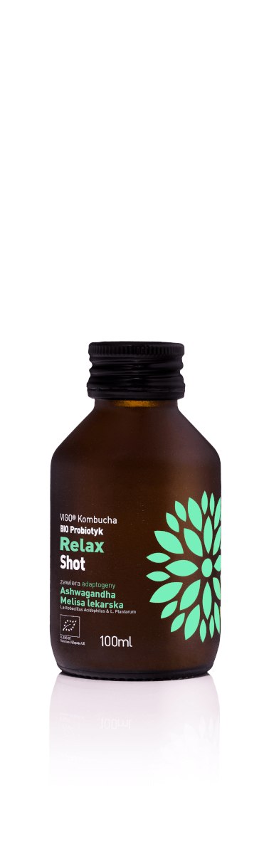 VIGO KOMBUCHA BIO SHOT relax 100ml