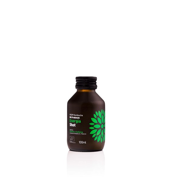 VIGO KOMBUCHA BIO SHOT energia 100ml