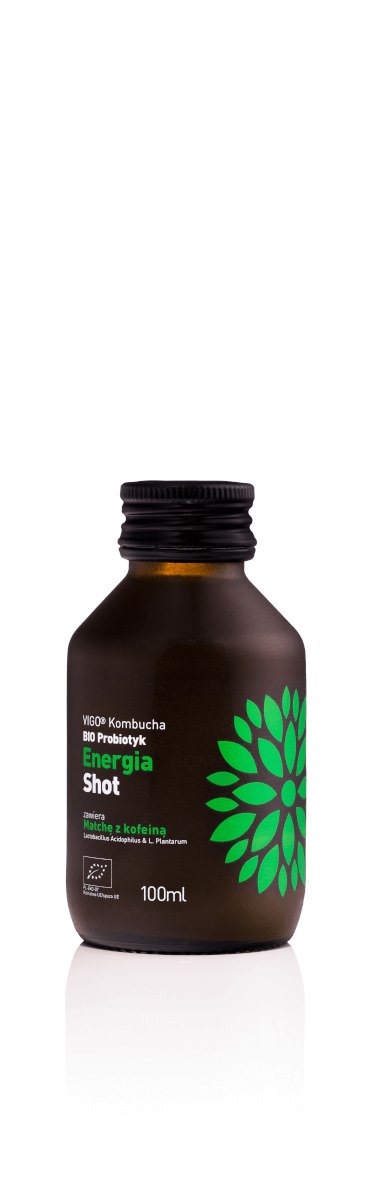 VIGO KOMBUCHA BIO SHOT energia 100ml