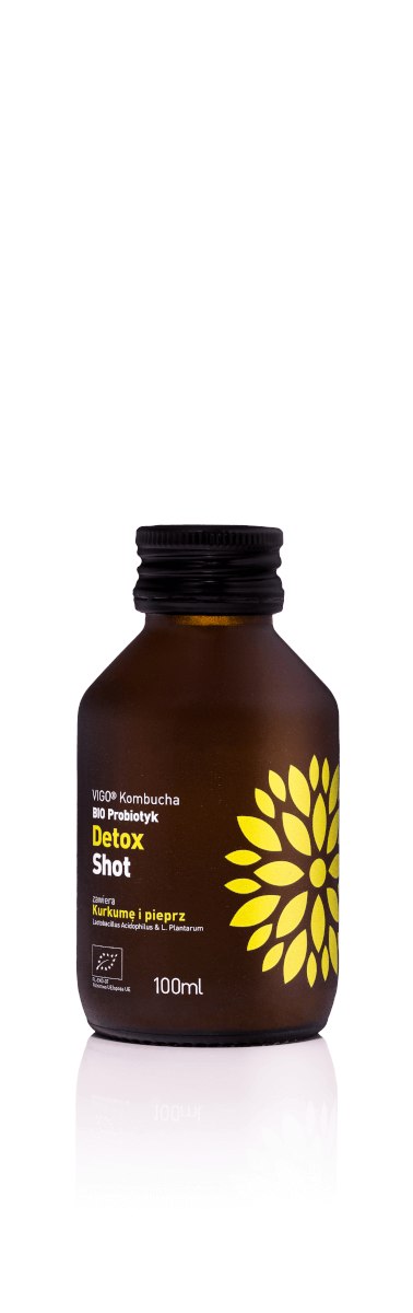 VIGO KOMBUCHA BIO SHOT detox 100ml