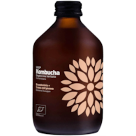 VIGO Kombucha BIO Brzoskwinia+Trawa Cytrynowa 330m