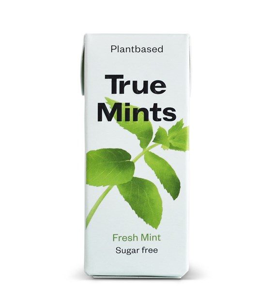 TRUE MINTS Fresh Mint 13g